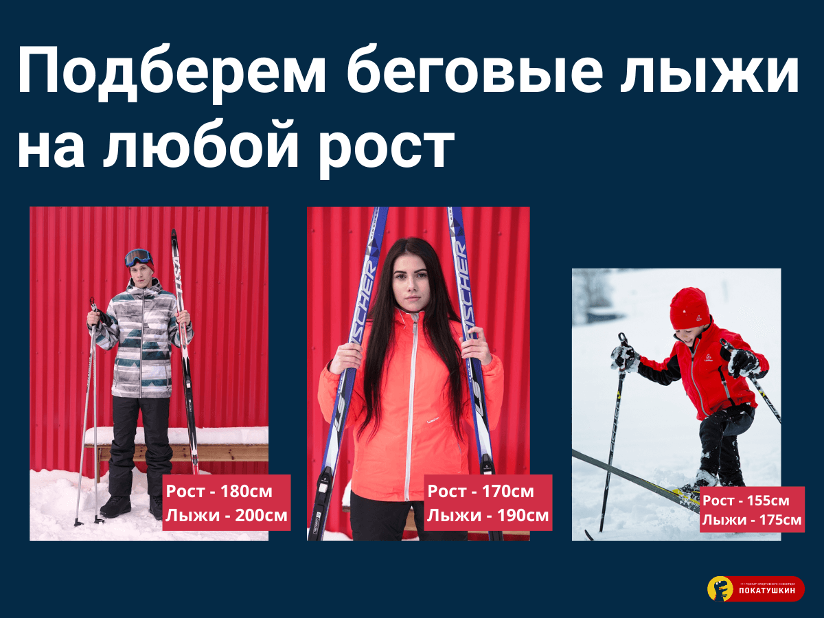 Беговые лыжи разных ростовок в прокате Покатушкин