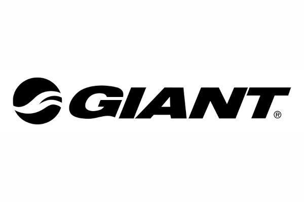 Логотип бренда Giant