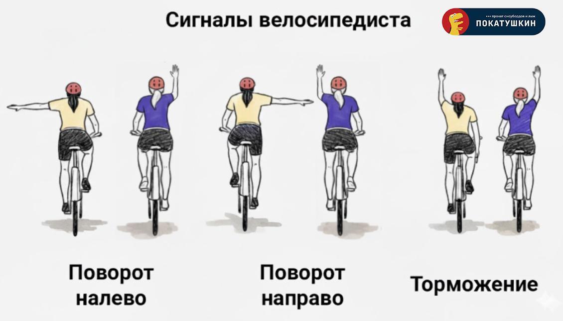 сигналы велосипедиста (поворот, торможение)
