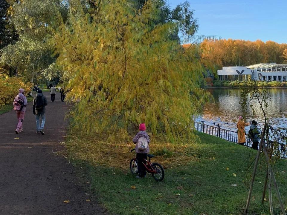 Крестовский остров СПб.