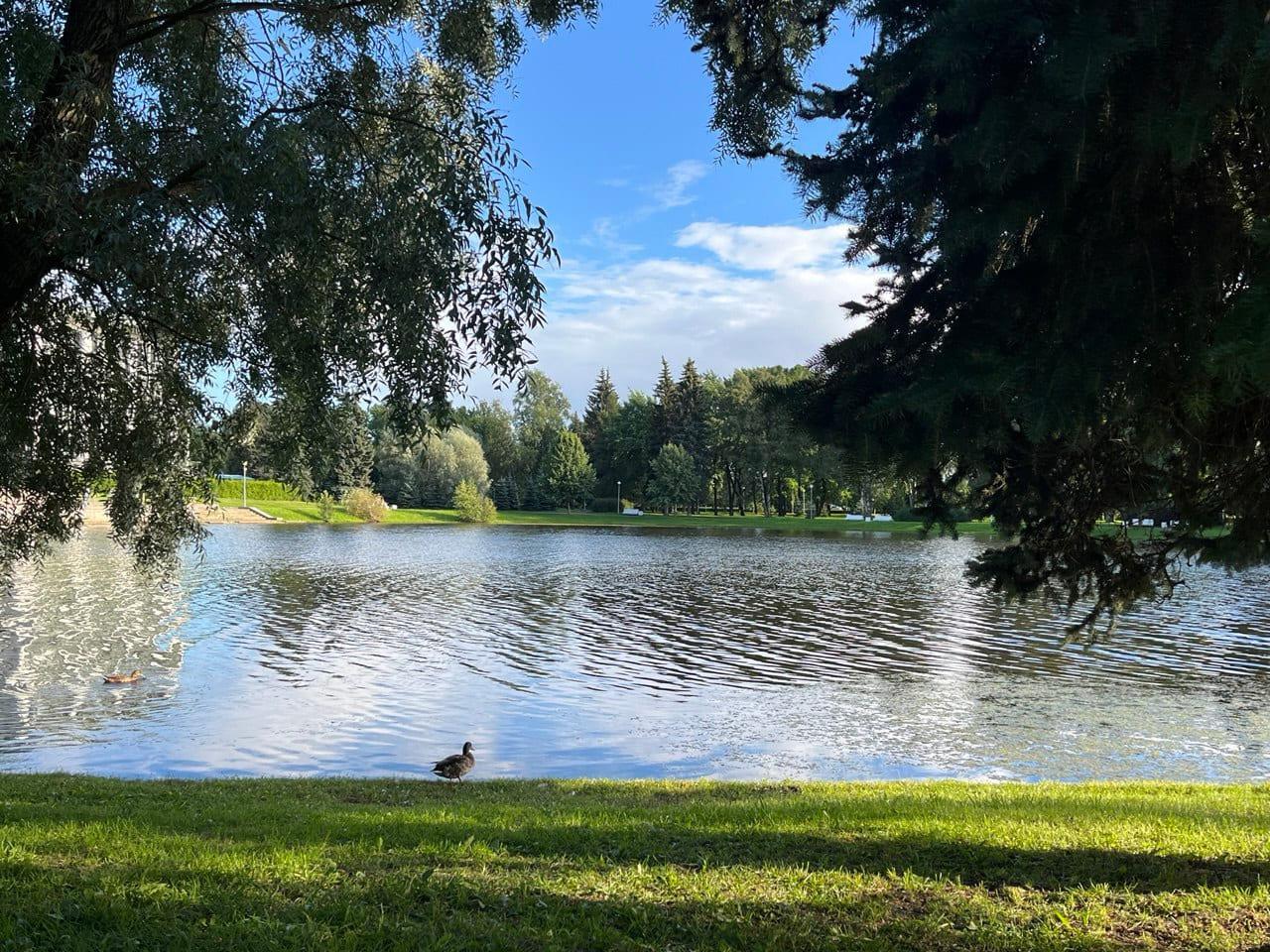 Крестовский остров СПб.