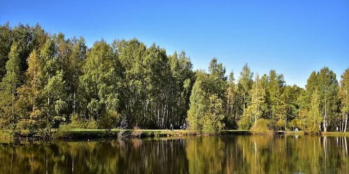 Фото парка 
