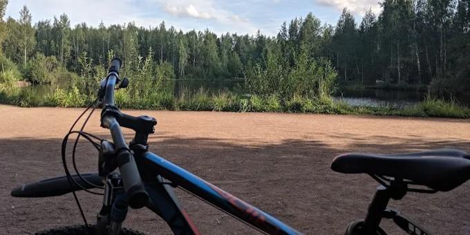 Фото парка 