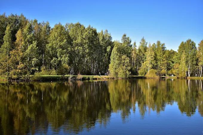 Фото парка 