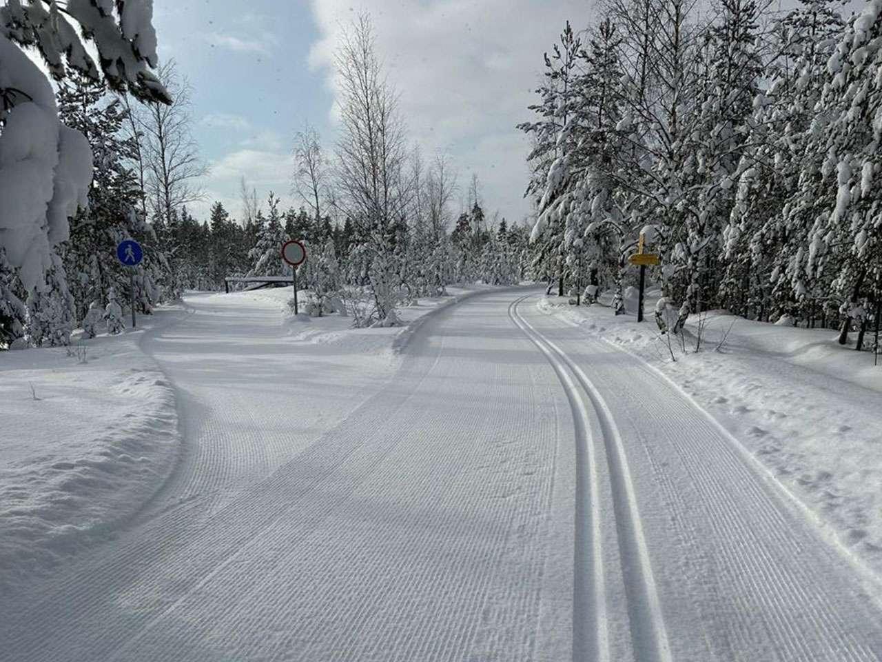 Лыжероллерная трасса Ярви