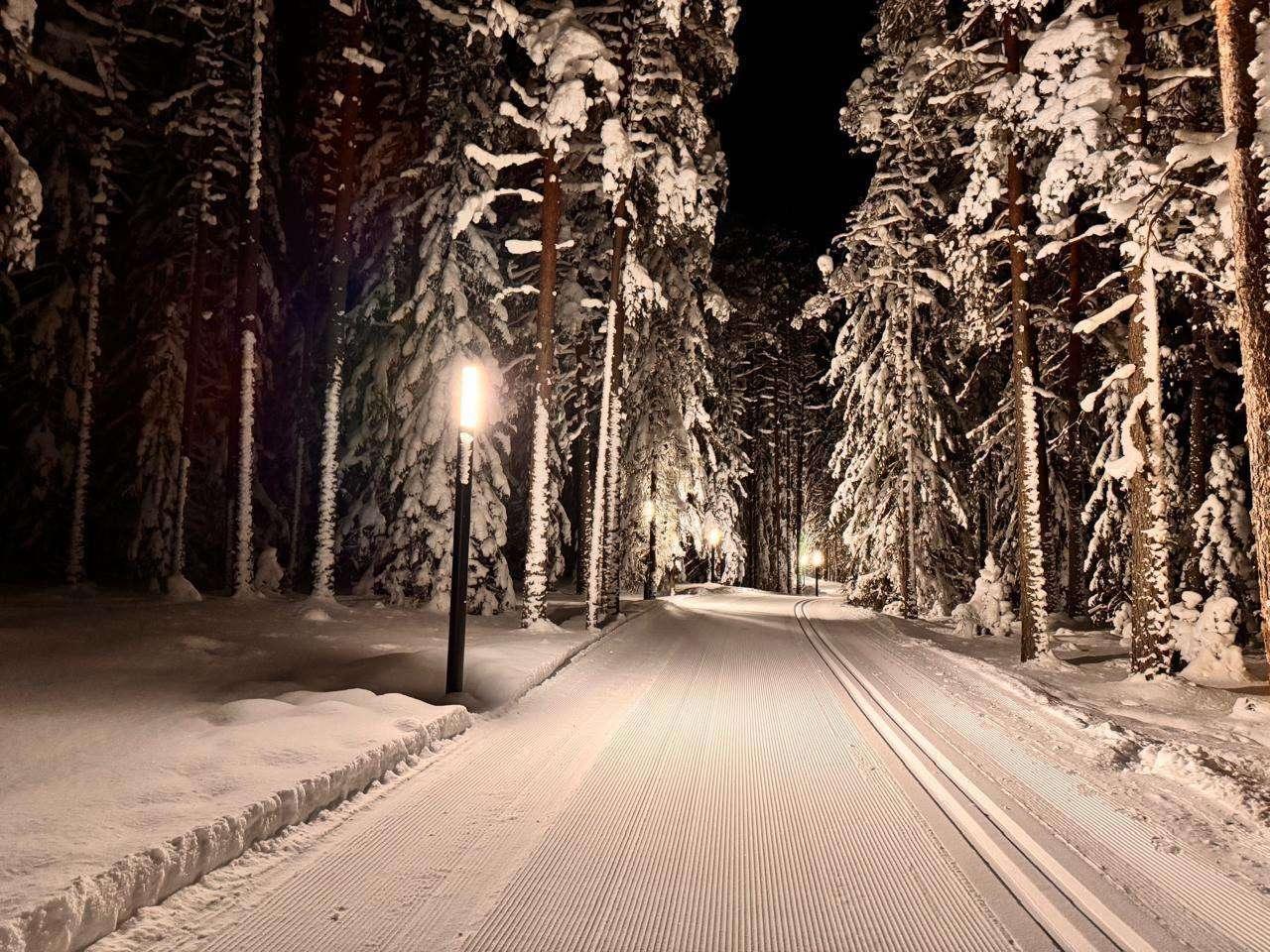 Лыжероллерная трасса Ярви
