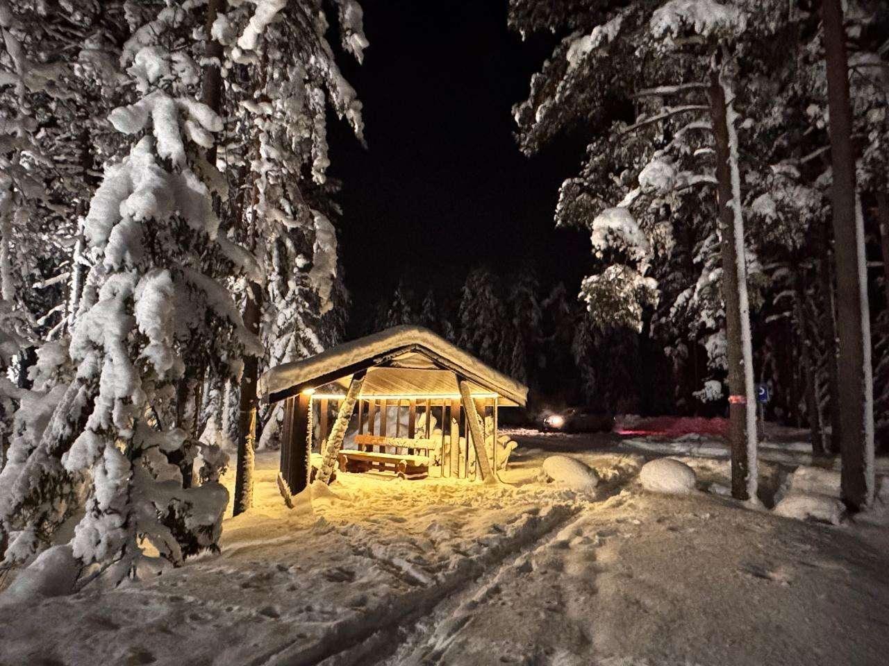 Лыжероллерная трасса Ярви