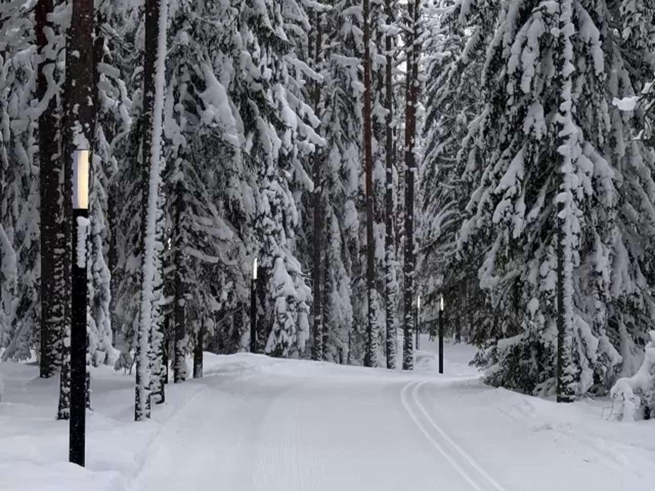 Лыжероллерная трасса Ярви
