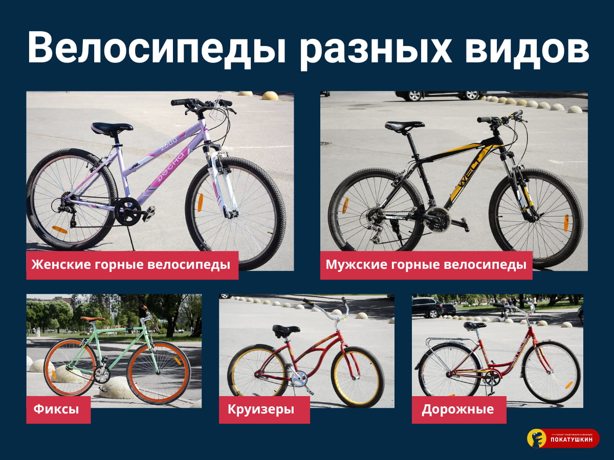 Много велосипедов разных видов