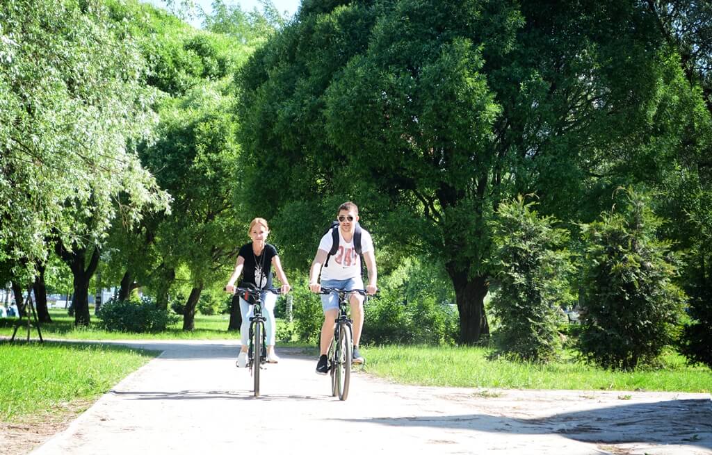 Парк Сосновка в СПб отлично подходит для велопрогулок
