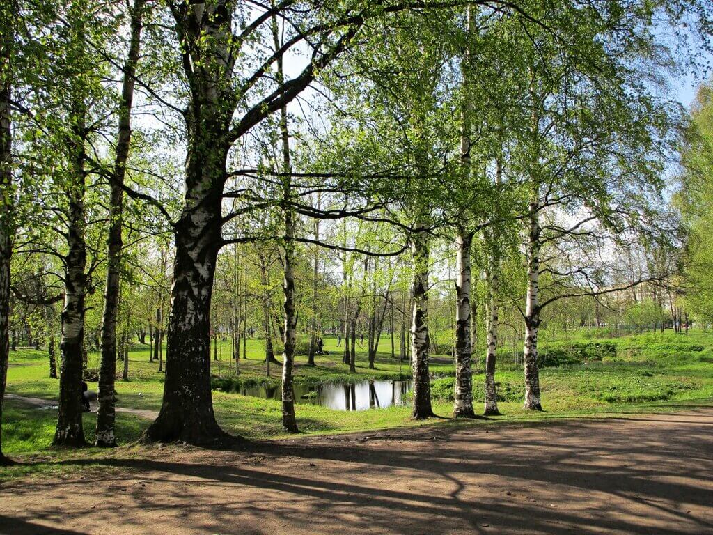 Муринский парк в СПб отлично подходит для велопрогулок