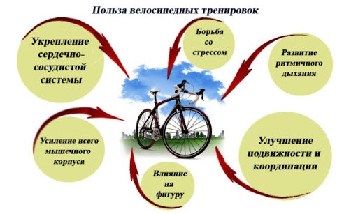 Польза велосипеда для здоровья в одной картинке